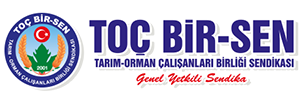 Toçbirsen