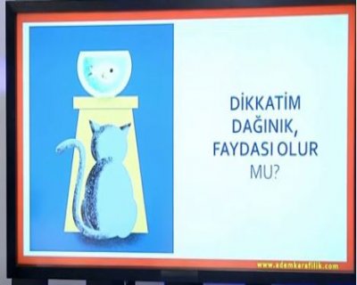 Dikkatim Çok Dağınık Faydası Olur mu Sorusunun Cevabı